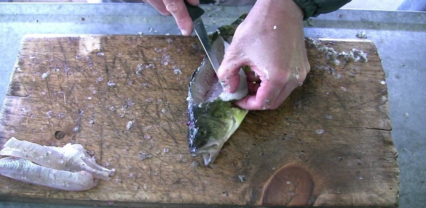 alaosra 0 1527275390 - كيفية تنظيف السمك