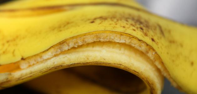 feeding 367 1465230252 - ما هي فوائد قشر الموز