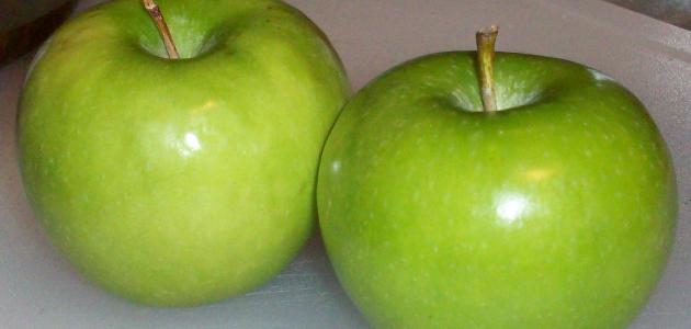 feeding 489 1465230361 - فوائد التفاح الأخضر