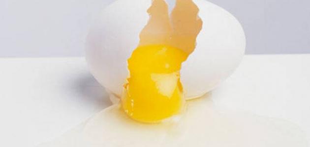 صفار البيض للوجه الجاف - اهمية صفار البيض للوجه الجاف