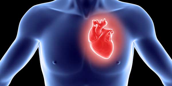 عن مرض صمامات القلب - علاج مرض صمامات القلب